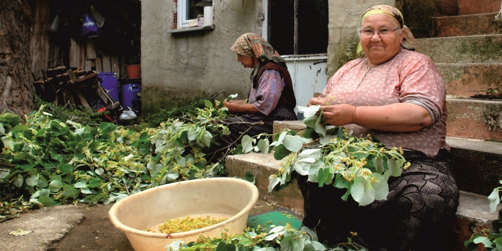 Tekirdağ Büyükşehir Belediyesi'nden Kadın Çiftçiler Günü Etkinliği