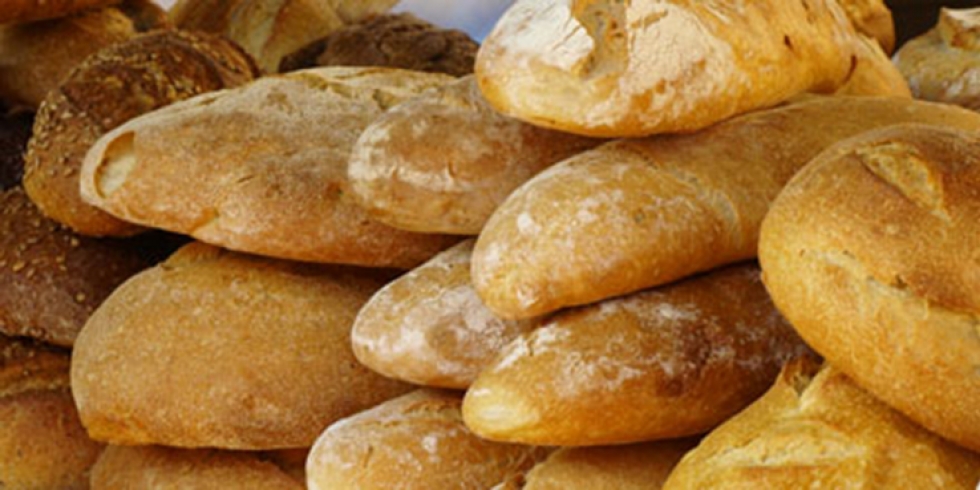 Büyükşehir Belediyesi Halk Ekmek Fabrikası Kuruyor