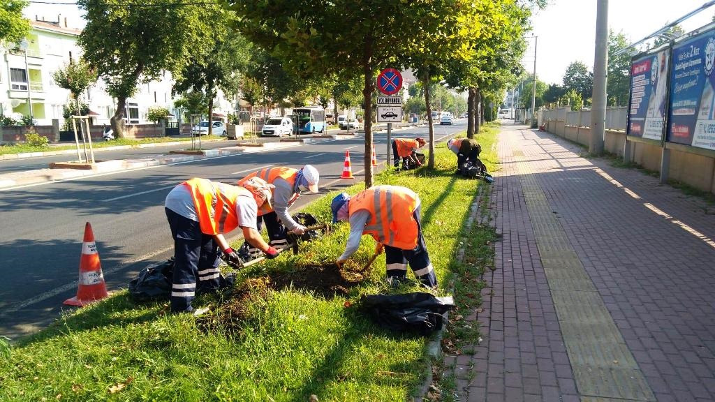 Tekirdağ Büyükşehir Belediyesi