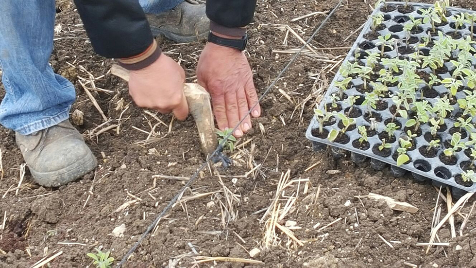 Tekirdağ Büyükşehir Belediyesi
