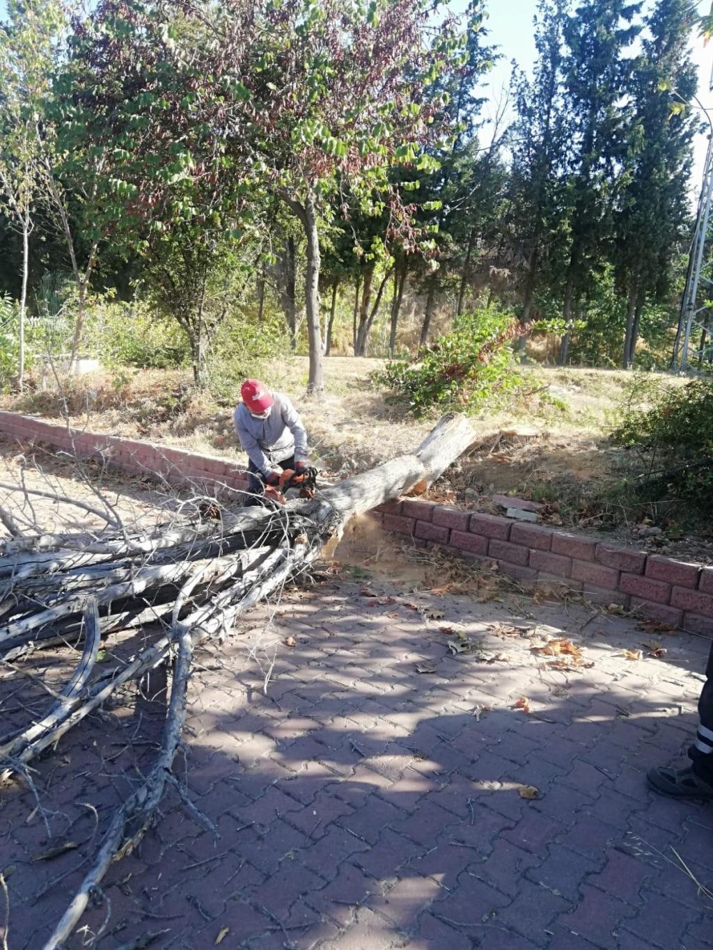 Tekirdağ Büyükşehir Belediyesi