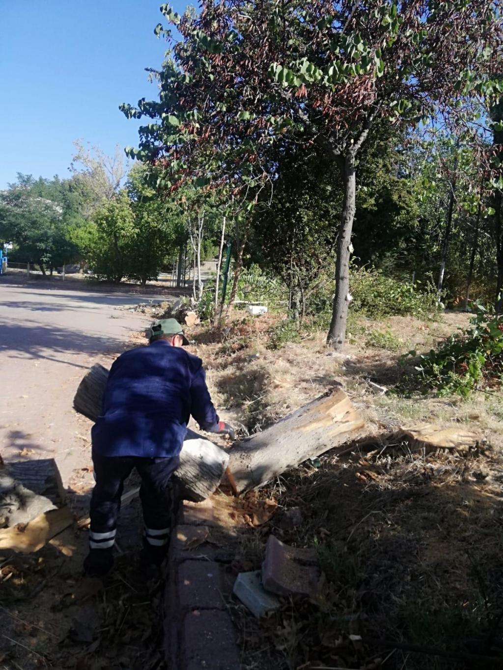 Tekirdağ Büyükşehir Belediyesi