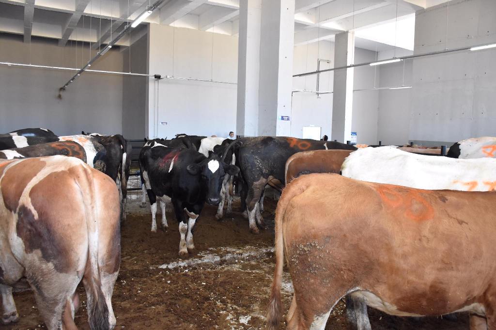 Tekirdağ Büyükşehir Belediyesi
