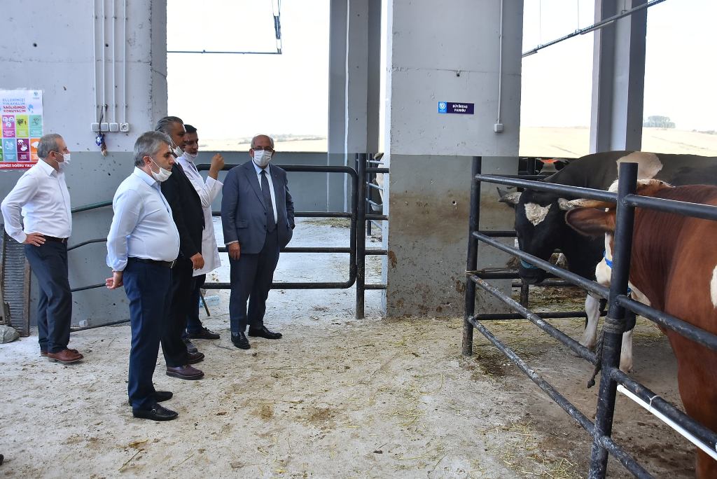 Tekirdağ Büyükşehir Belediyesi