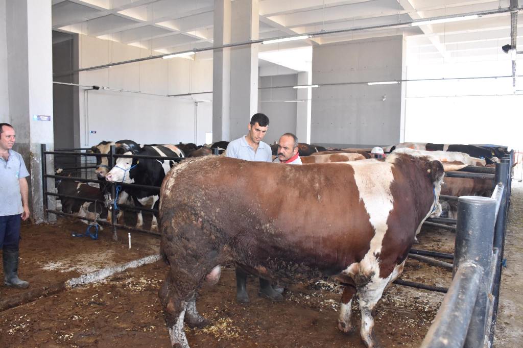 Tekirdağ Büyükşehir Belediyesi