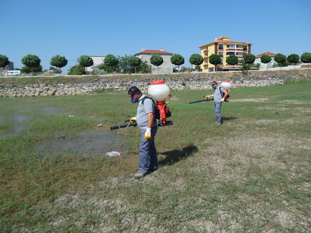 Tekirdağ Büyükşehir Belediyesi